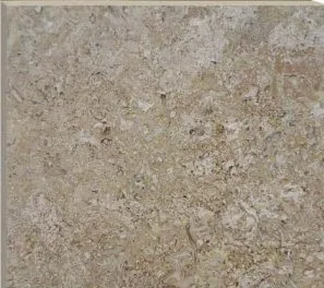 TRAVERTINO FIORITO 300x300